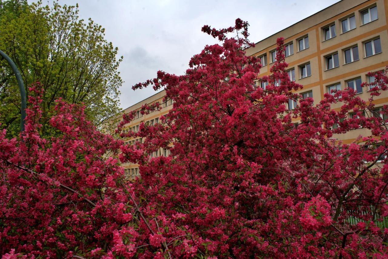 Apartment Szucha 27 - Royal Lazienki Flat