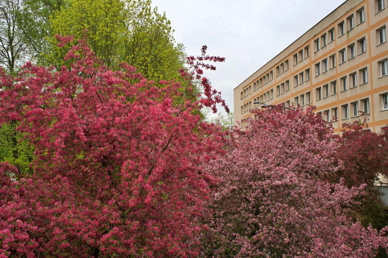 Szucha 27 - Royal Lazienki Flat Apartment *