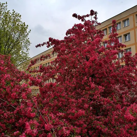 Szucha 27 - Royal Lazienki Flat Warsaw Exterior photo