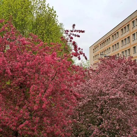 Szucha 27 - Royal Lazienki Flat Warsaw Exterior photo