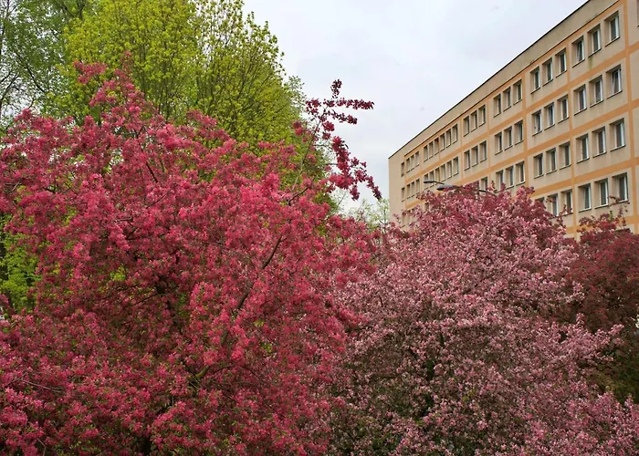 Szucha 27 - Royal Lazienki Flat